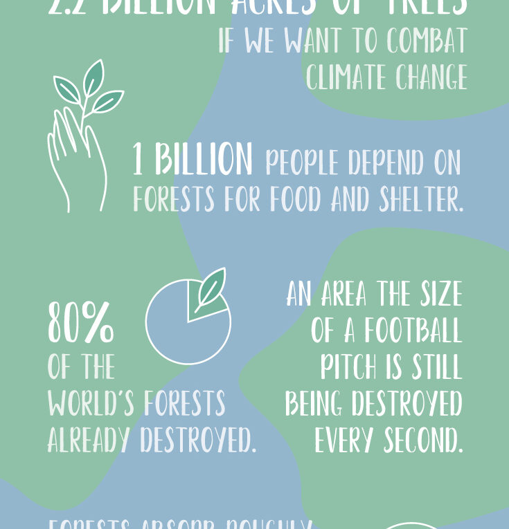 The Silent Battle Against Climate Change