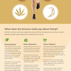 6 Powerful Nutrients of Hemp Oil