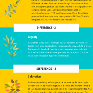 Difference Between Hemp & Marijuana
