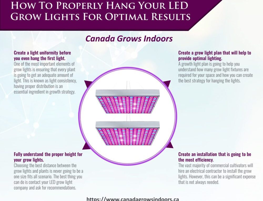 How To Properly Hang Your LED Grow Lights For Optimal Results