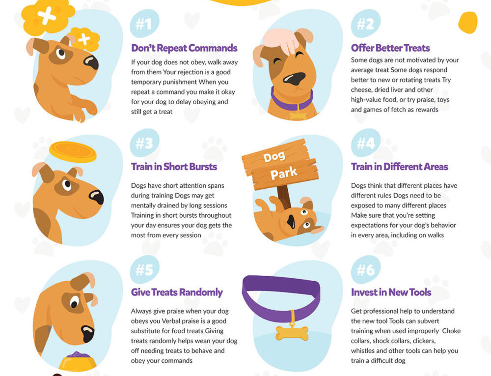 8 Tips for Training a Difficult Dog