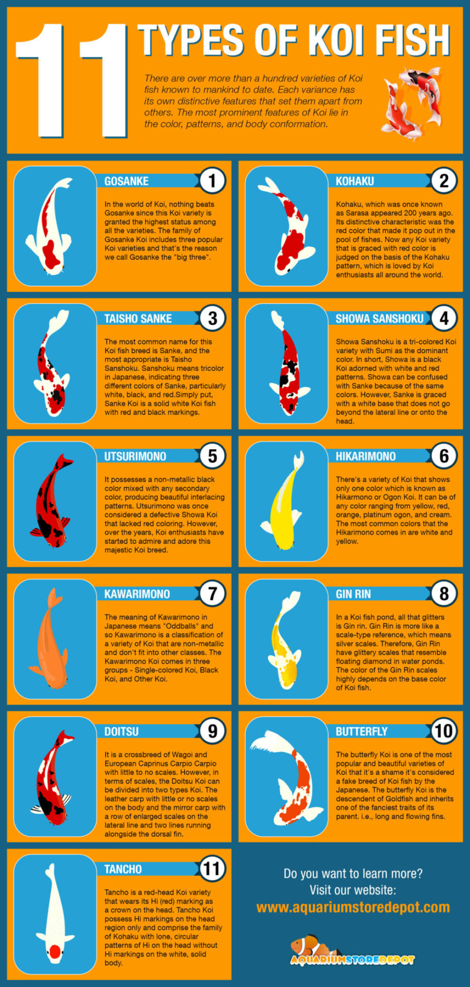 11 Most Popular Types Of Koi Fish