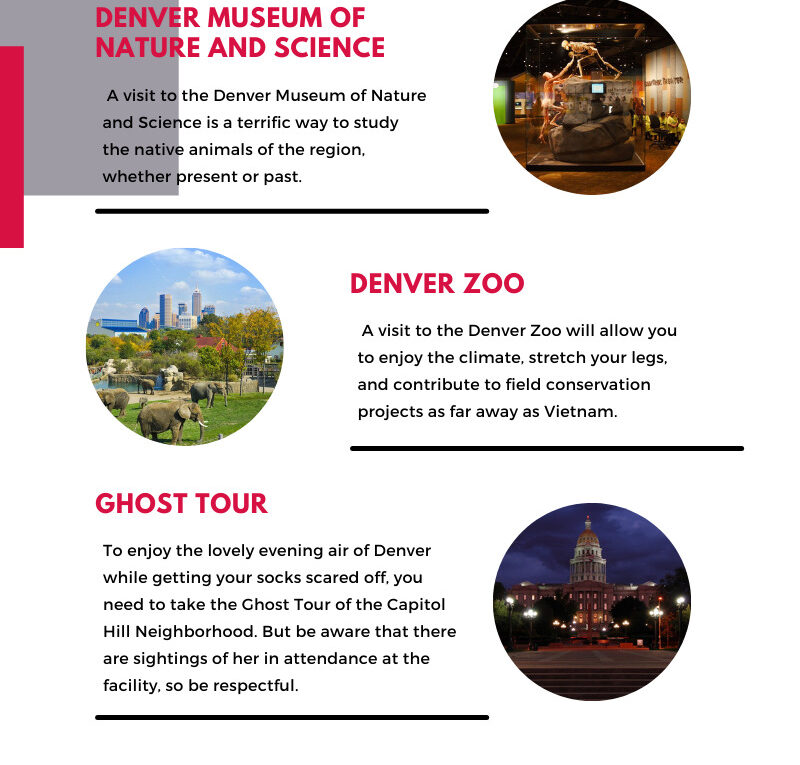 Here are Some of Our Favorite Attractions in Denver, CO