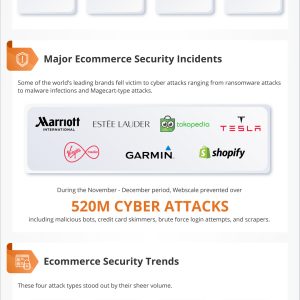 The 2021 Global Ecommerce Security Report