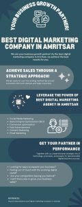 Best Digital Marketing Company in Amritsar (Infographic)