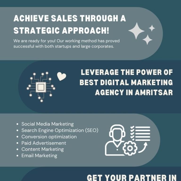 Best Digital Marketing Company in Amritsar (Infographic)
