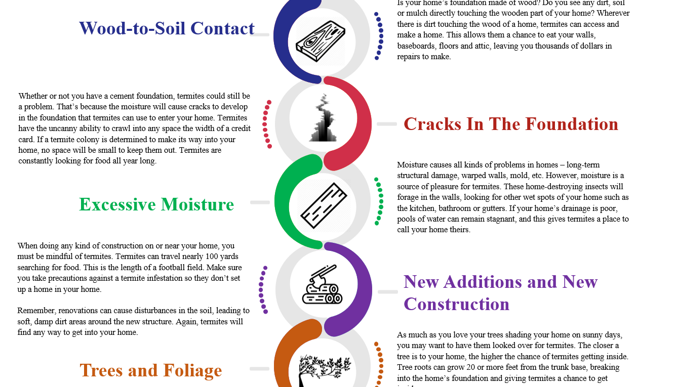 6 Signs Your Home Has Termites in Houston