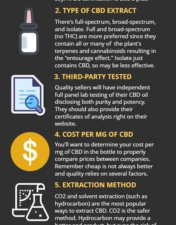 How to Choose the Best CBD for Dogs