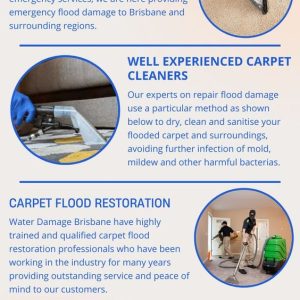 Experienced Wet Carpet Drying and Cleaning Service in Brisbane