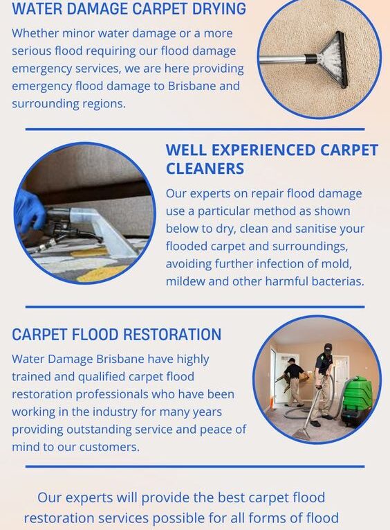 Experienced Wet Carpet Drying and Cleaning Service in Brisbane
