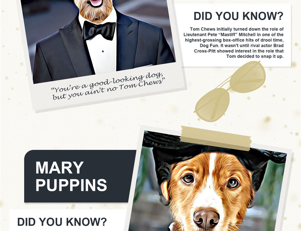 The Most Famous Dogs of Drool Time