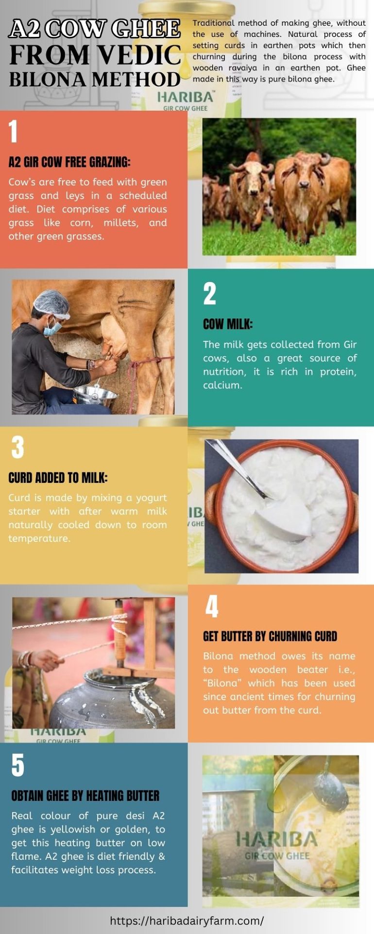 Process of Making Organic A2 Gir Cow Ghee
