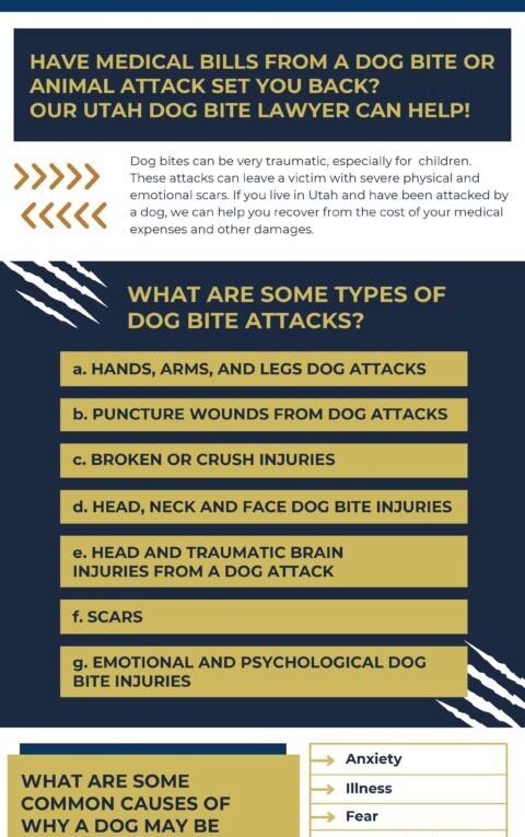 Utah Dog Bite Lawyer [INFOGRAPHIC]