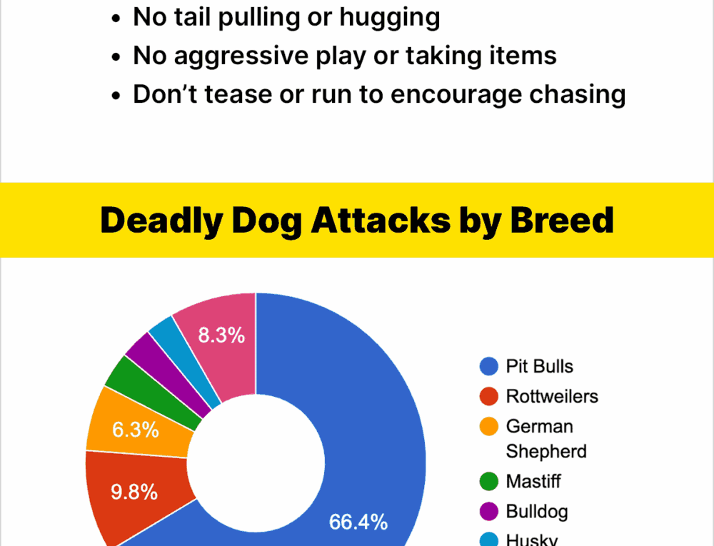 Dog Bite Statistics [INFOGRAPHIC]