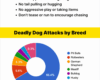 Dog Bite Statistics [INFOGRAPHIC]
