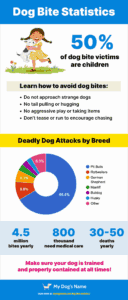 Dog Bite Statistics [INFOGRAPHIC]