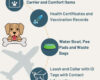 Essential Packing List for Flying with a Dog in-cabin