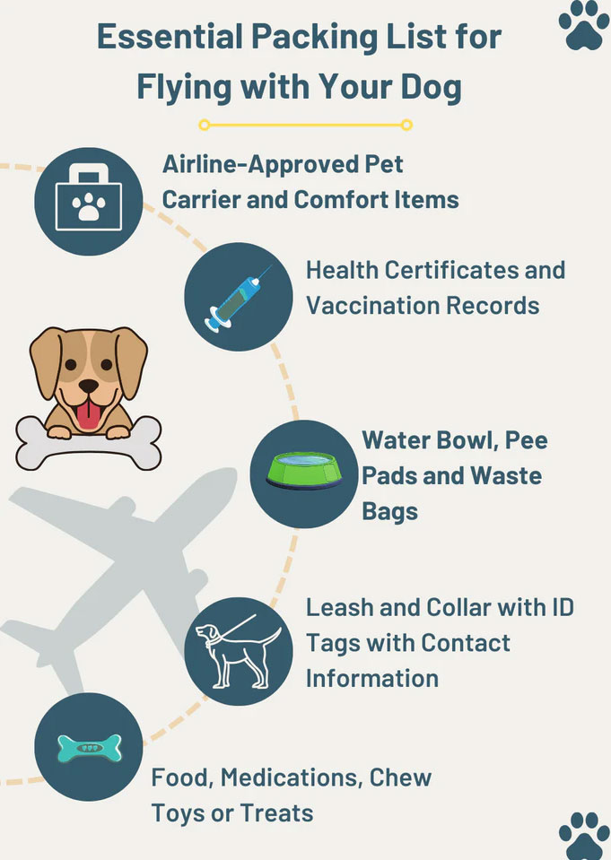 Essential Packing List for Flying with a Dog in-cabin
